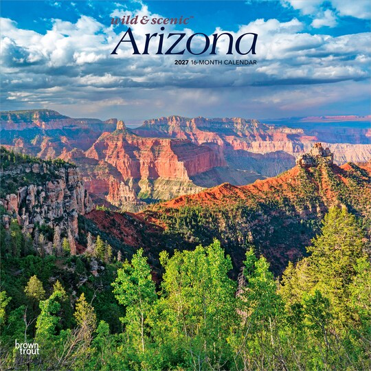 BrownTrout; Arizona Wild & Scenic | 2027 12 x 24 Inch (Hanging) Monthly Square Wall Calendar | Plastic-Free; Category:Wall Calendars; Image:1